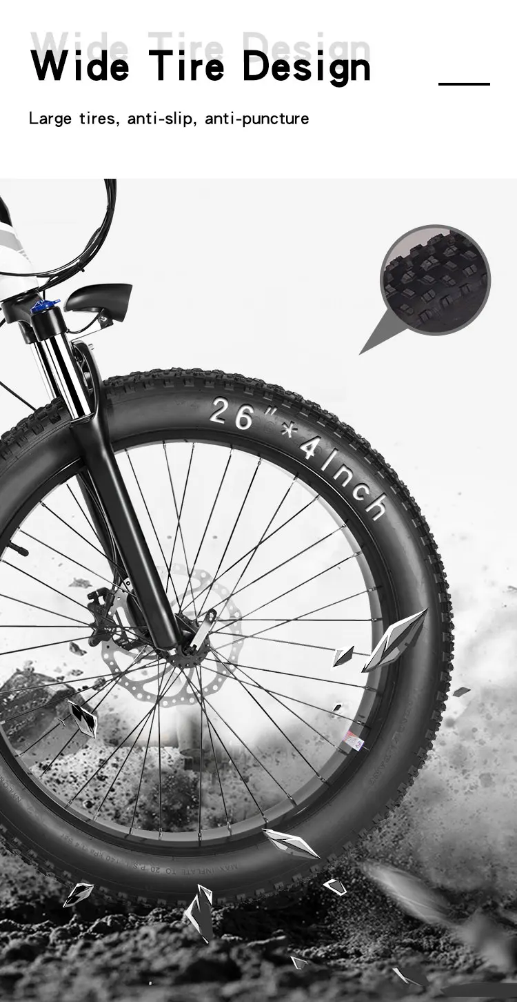 US Stock Daily Commuting Fat Tyre Bicycle Equipped 48V Long Life Battery Supply Fast Charging Electric Bike