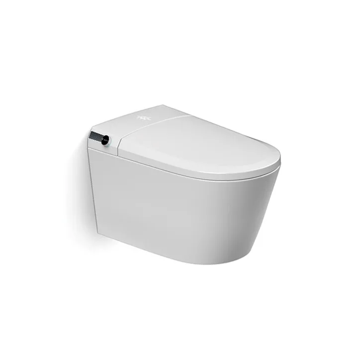 Wall Mounted Installation Smart Toilet Home Hotel Restaurant Bathroom Sanitary Ware Wc Toilet Ceramic