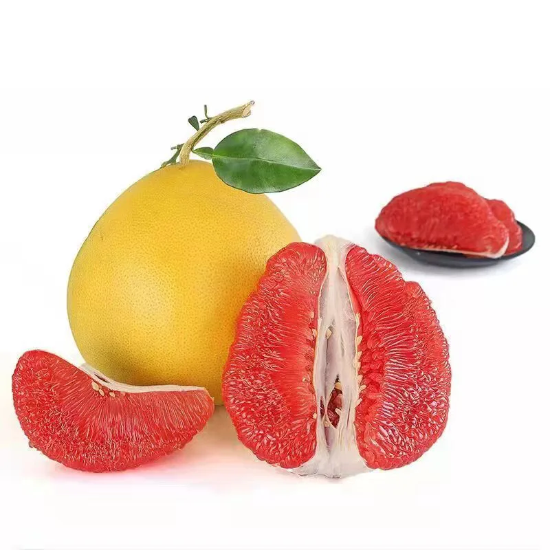 China Grapefruit High Quality Chinese Shaddock fresh Honey Pomelo