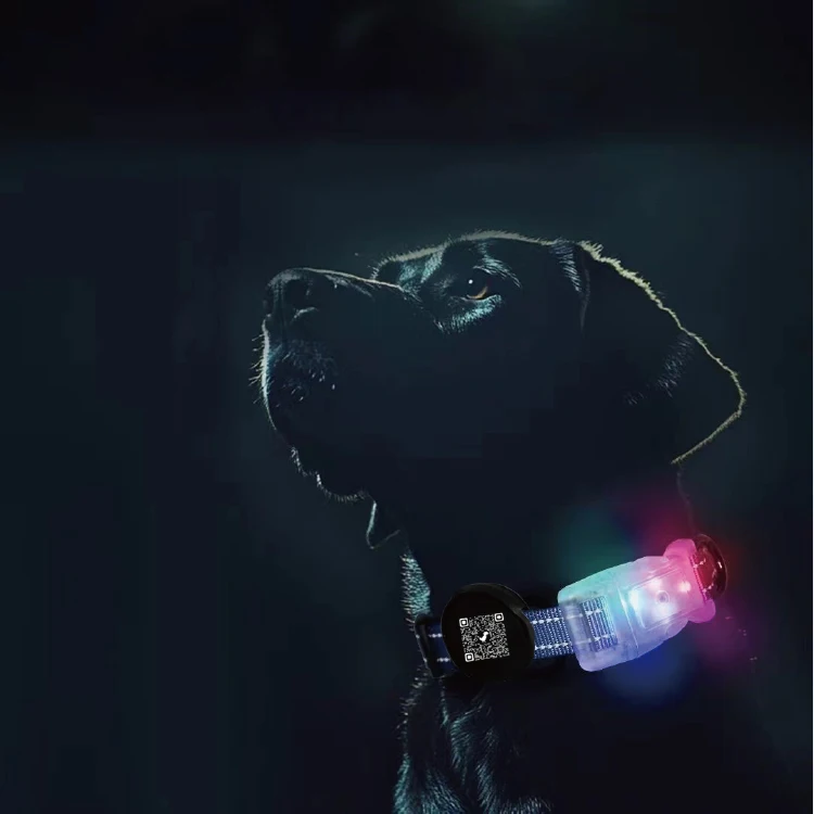 Nylon LED Pet Dog Collar Night Safety Flashing Glow In The Dark Dog Leash Dogs Luminous Fluorescent Collars Pet Supplies QR code