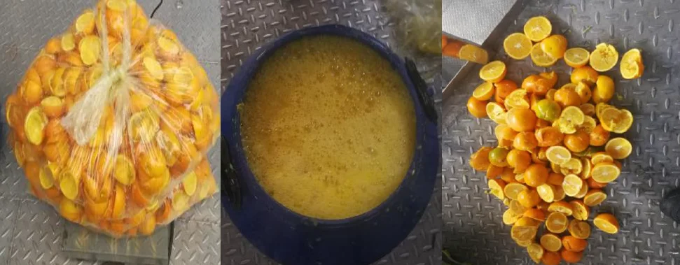 Citrus Juice Processing Line Orange Juice Processing Equipment Lemon Production Plant Silver Customized Provided PLC Cleaning