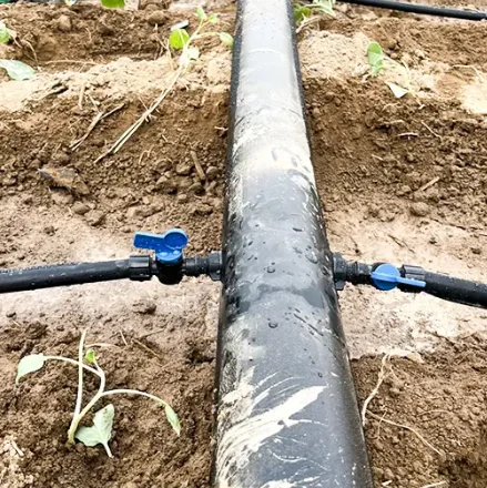 2Ha Drip irrigation Irrigation design complete kit Farm Automatic Drip Irrigation Systems