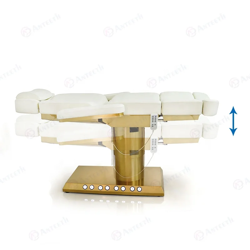 Salon Furniture 3/4 Motors Beauty Salon Chair Gold Metal Base Cosmetic Bed Built-in Foot Control Electric Facial Bed