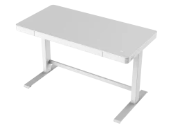 Nordic Home Office Furniture White Glass top Ergonomic Electric Height Adjustable Standing Desk