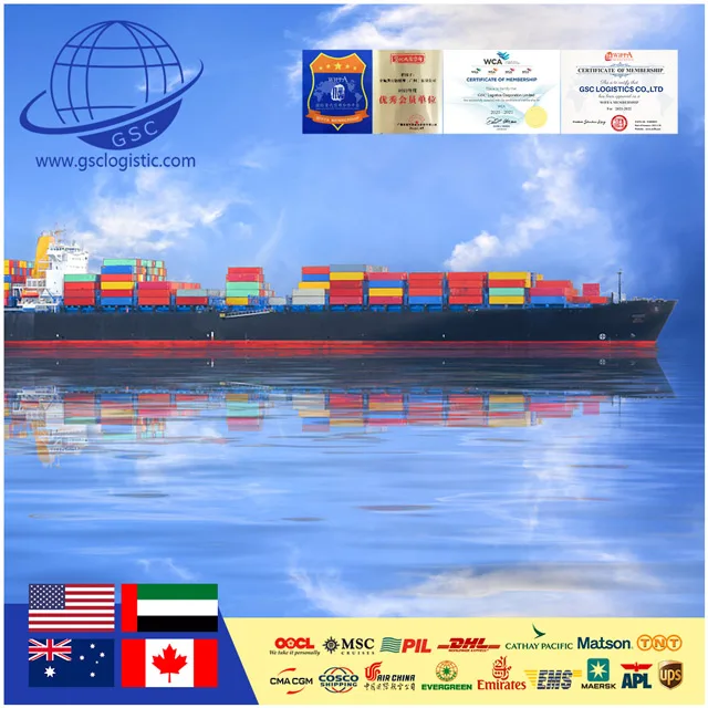 Shipping Agency Services Logistic Australian Agent Sea Freight Forwarder China To Kingston Jamaica Australia  With Customs