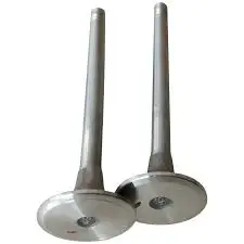 Wholesale Low Price Cummins Marine Intake Valve OE NO 3052820 For Cummins Marine Diesel Engine Parts