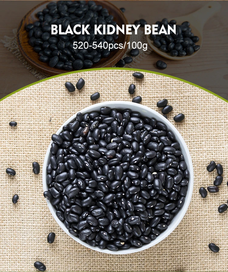 Hot Selling High Quality Common Natural Bulk Black Beans at Company Price