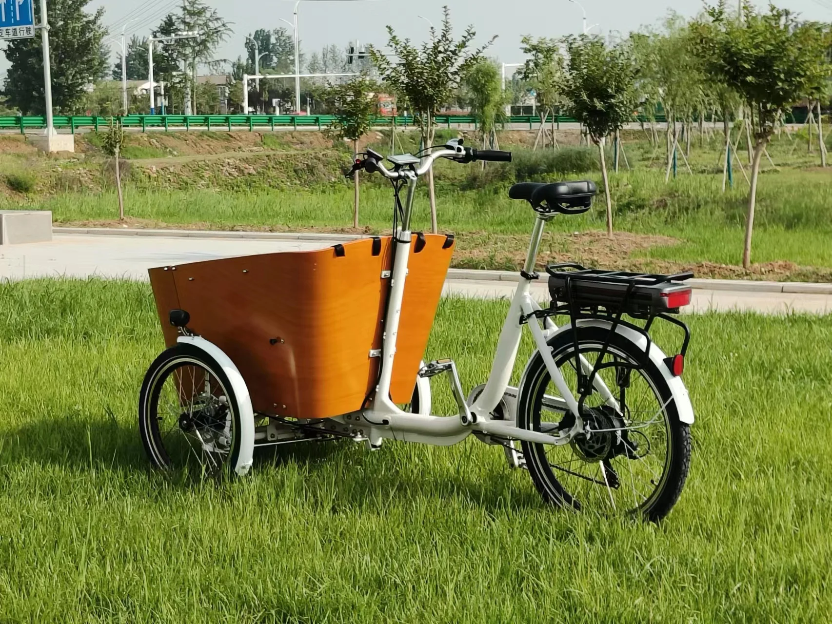 Europe Electric cargo trike CE family bike electric cargo bike three wheel electric cargo tricycle