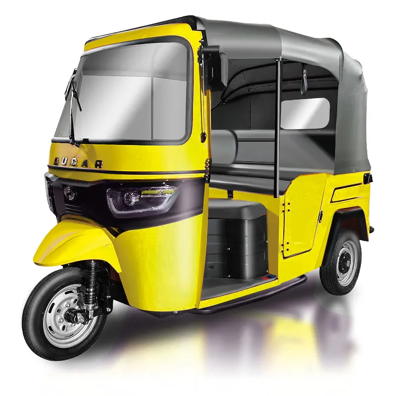 mini car electric 3 wheels tricycle mini car 2 seater long range electric mini car DUDU
