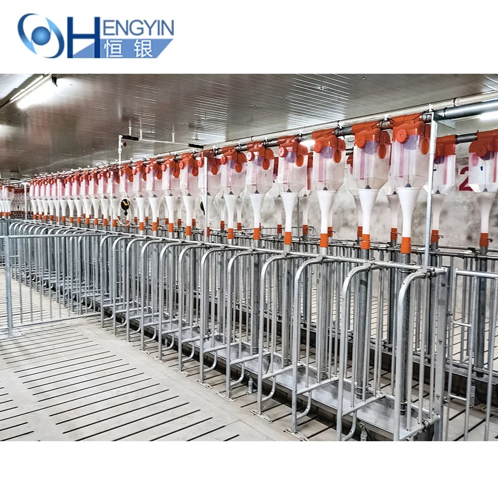 Can be customized high quality Sows pregnancy cage pig gestation crates Pens for pig farm equipment