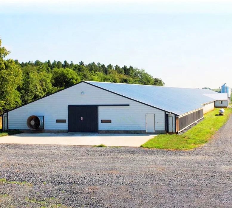 Poultry building house prefabricated shed chicken farm coop houses
