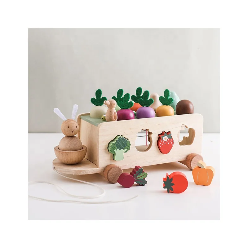 Developmental Gifts Carrots Harvest Sorting Counting Puzzle Game Shape Sorter Educational Wooden Montessori Toys