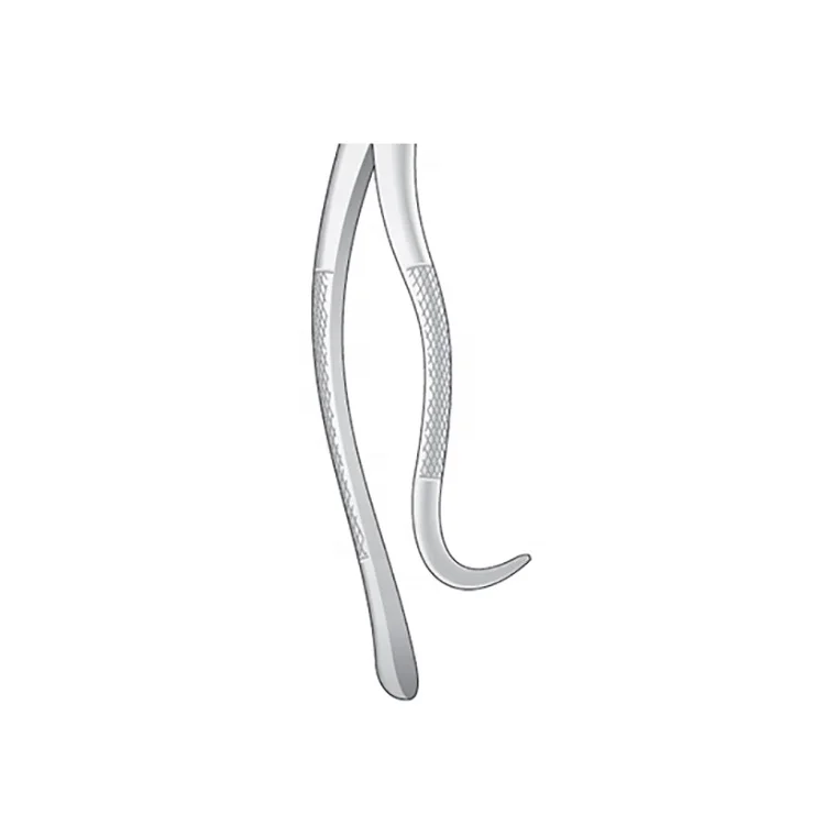 HARRIS Extracting Dental Forceps For Lower Wisdom Teeth