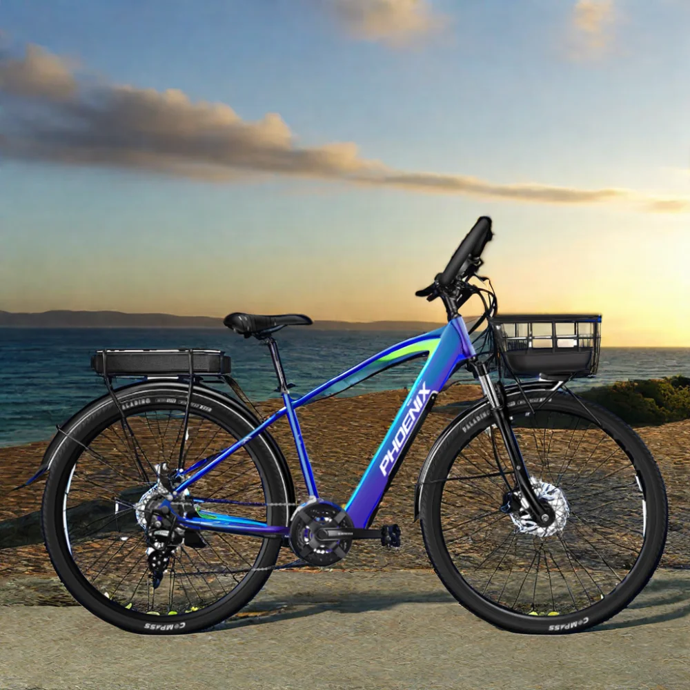 29 Inch Frame Powerful Motor 36v 350w Enduro e-Bike Fast Electric Mountain Bicycle