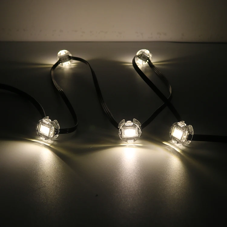 SHIJI Custom 20mm Diameter Transparent Cover Housing LED Pixel Light Sk6812 5050 RGBW