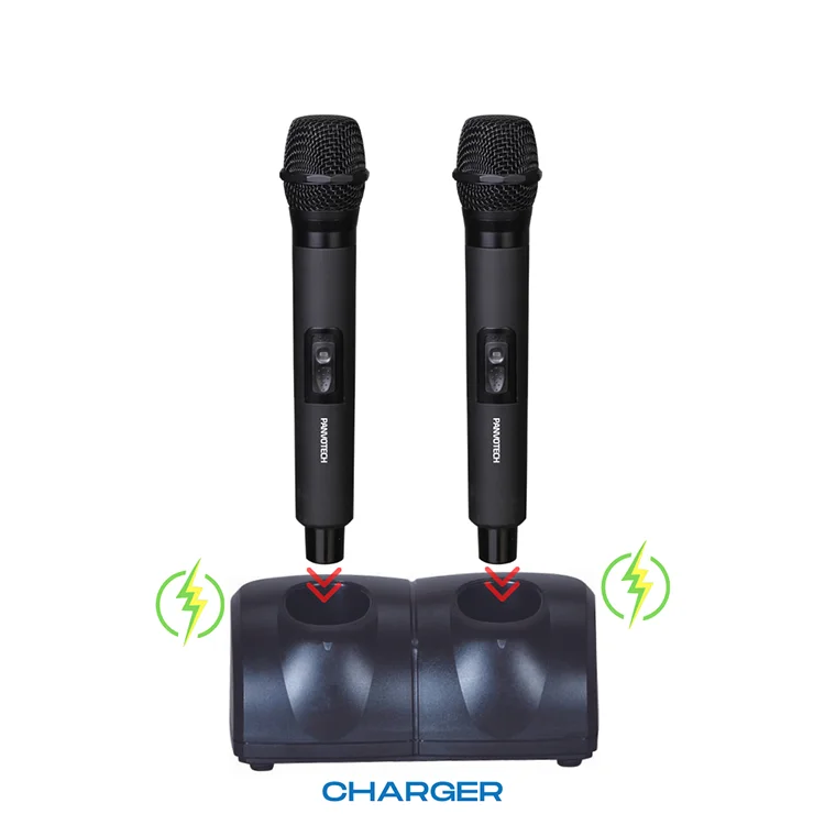 Перезаряжаемый беспроводной микрофон Panvotech с двумя Handhelds, профессиональное аудио, видео