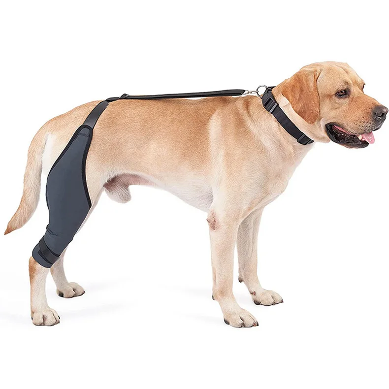 3 pcs Orthopedic Recovery Protector Sleeve rodillera para perros Dog Knee Brace Neoprene Dog Leg Brace Support for Hind Legs