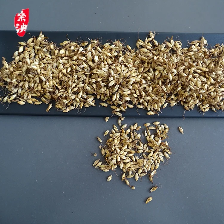 High-quality whole grain processing and concocting fried malt golden yellow malt