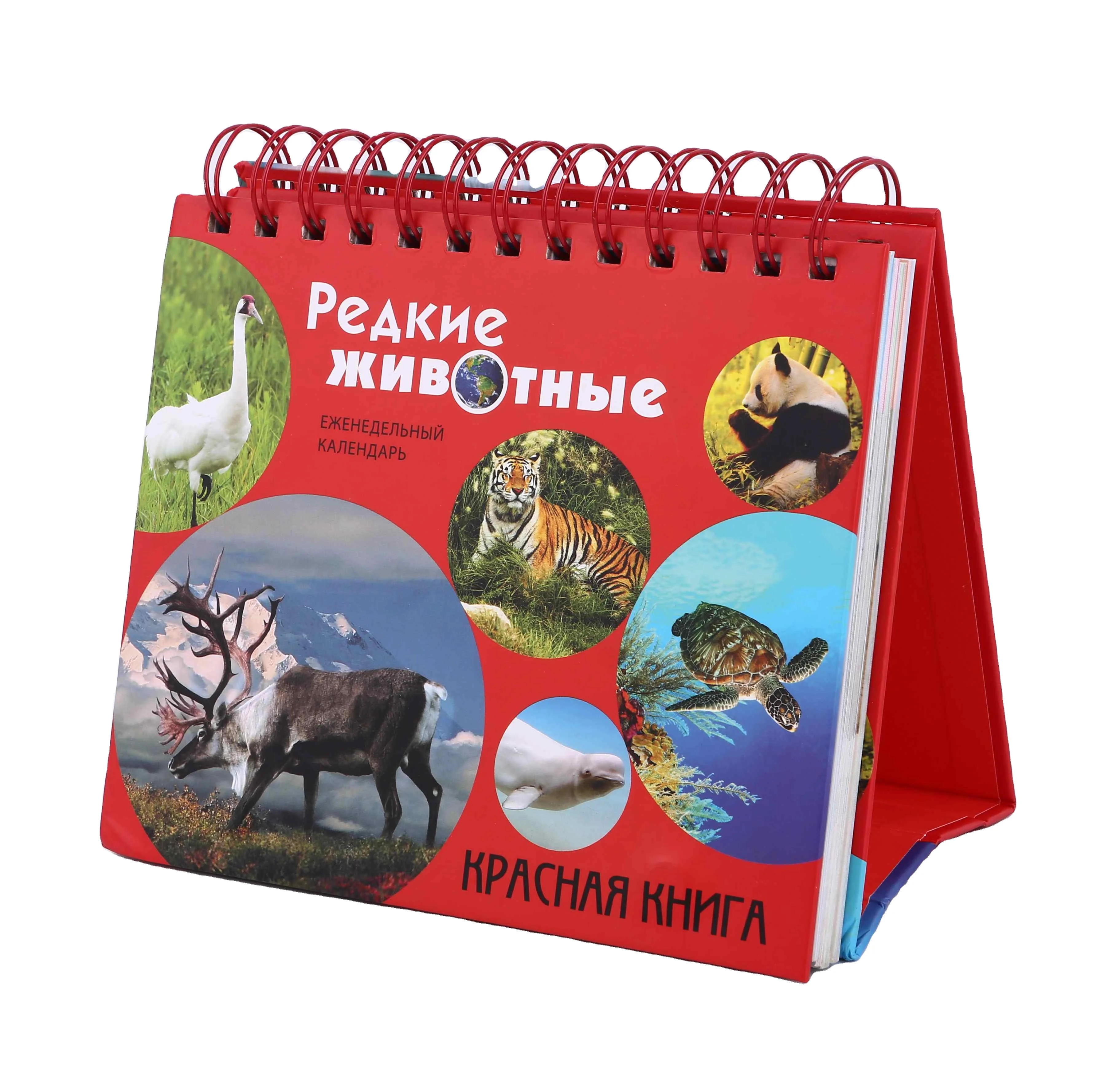 Cheap wholes spiral bound desk calendar, leather notebook, diaries printing