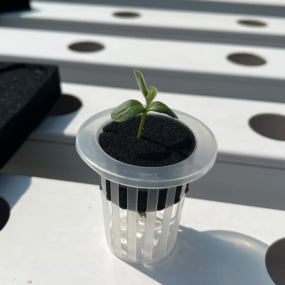 Garden Bee Eco-Friendly Hydroponic Systems Agricultural Seeding Planting Garden Sponge Peat Soil