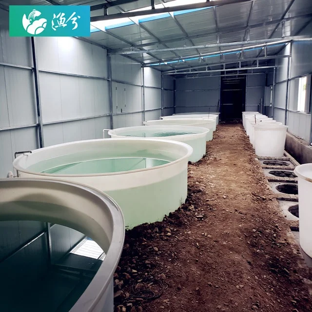 
High-density salmon pp fish pond circulating water indoor breeding system 