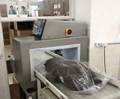 stuffed Vegetables toys