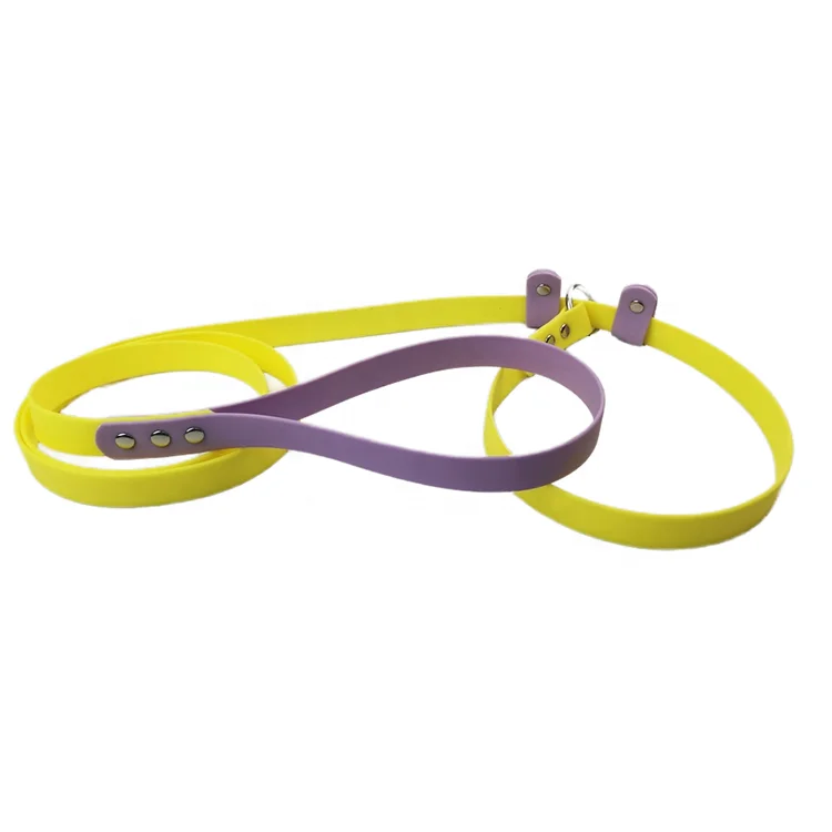 dog collar and leash double color (10).png