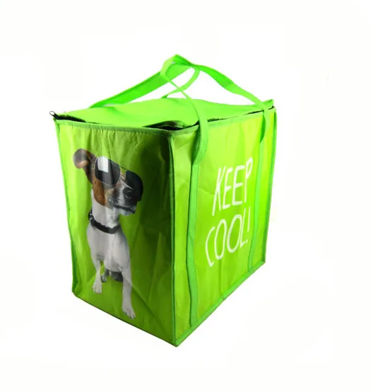 2024 New Design Thermal Cooler Bags For Ice Cream