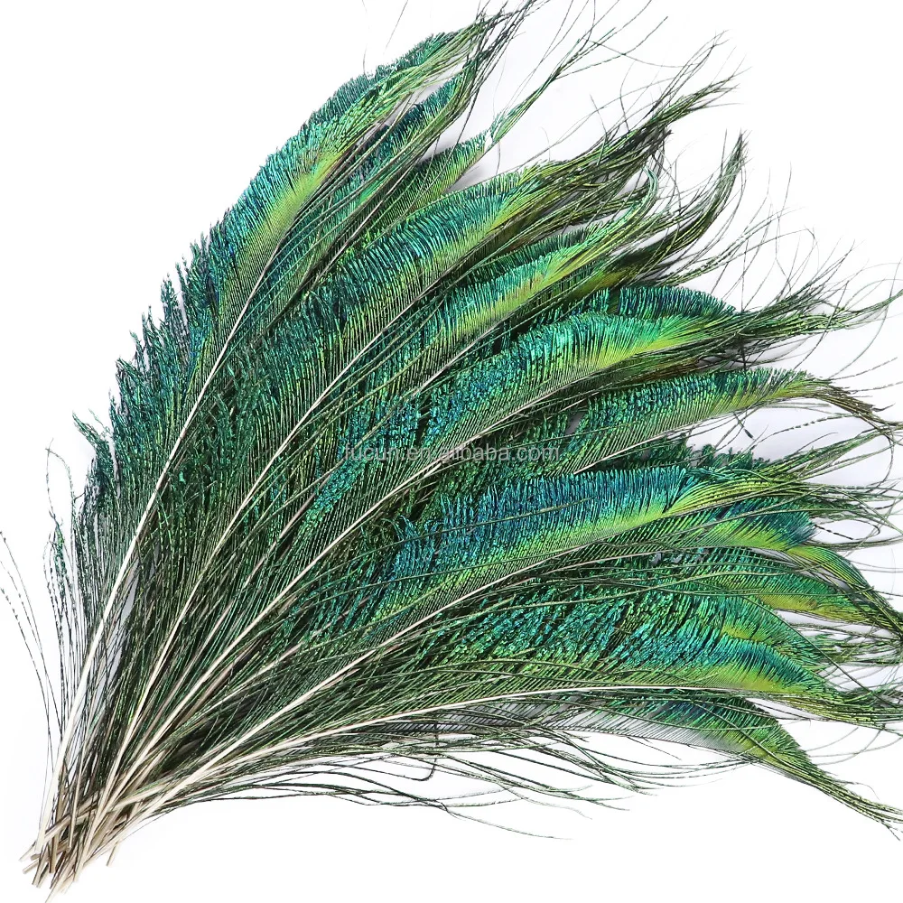 Carnival crafting made natural peacock swords feathers peacock quill feathers for carnival season in UK