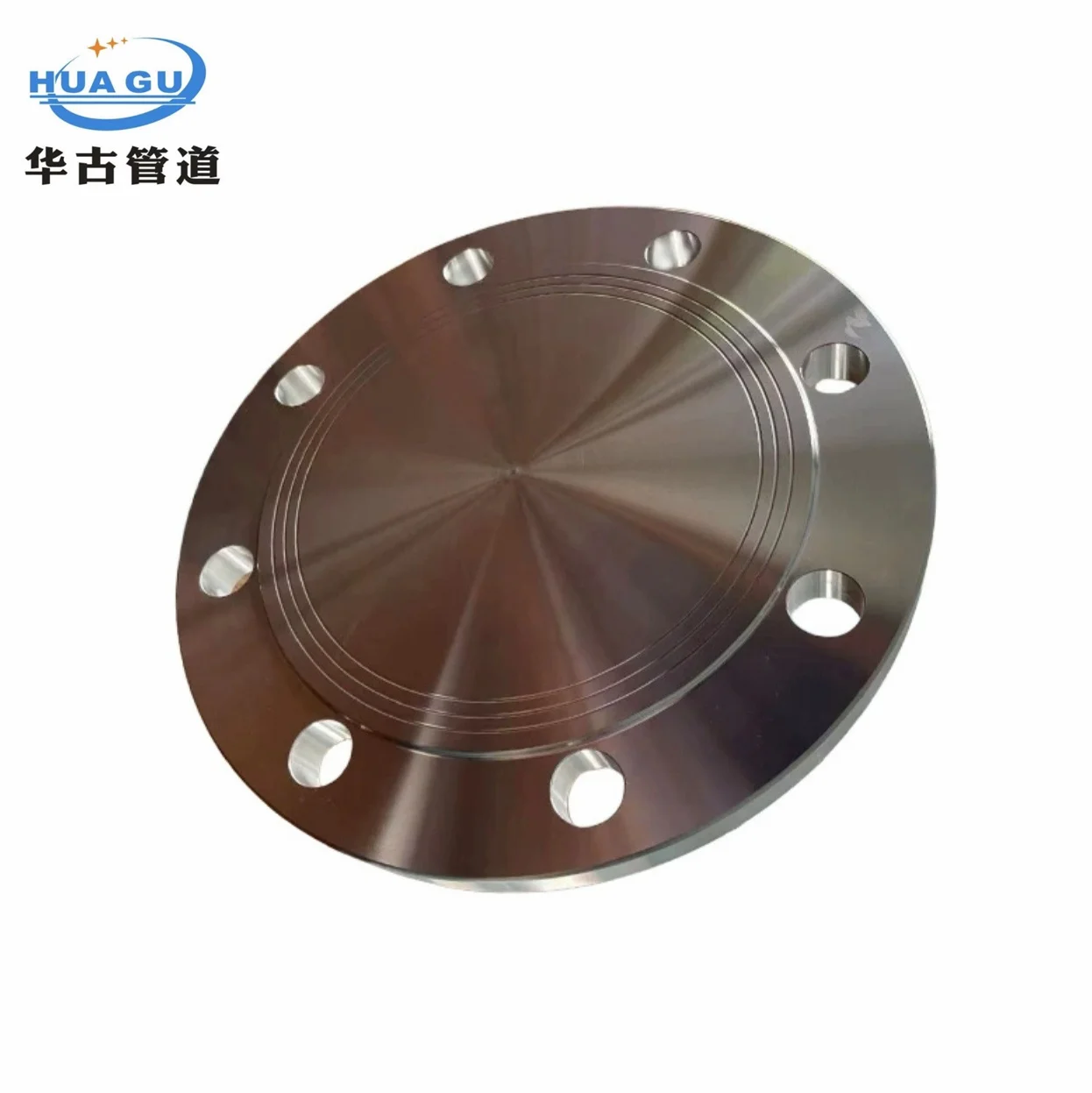 WP316L/304L Stainless Steel Forged Flange WN BL so LJ SF Types with FF RF MF FMF MT23 A105 Alloy Material Weld Neck Blind Flange