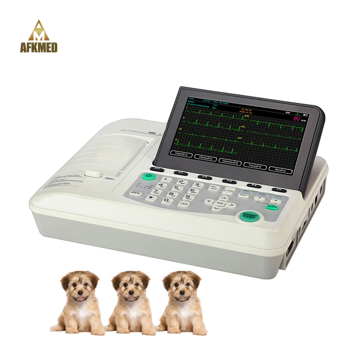 Ultrasound manufacturing portable veterinary ultrasound machine with competitive price handheld device veterinary ultrasound