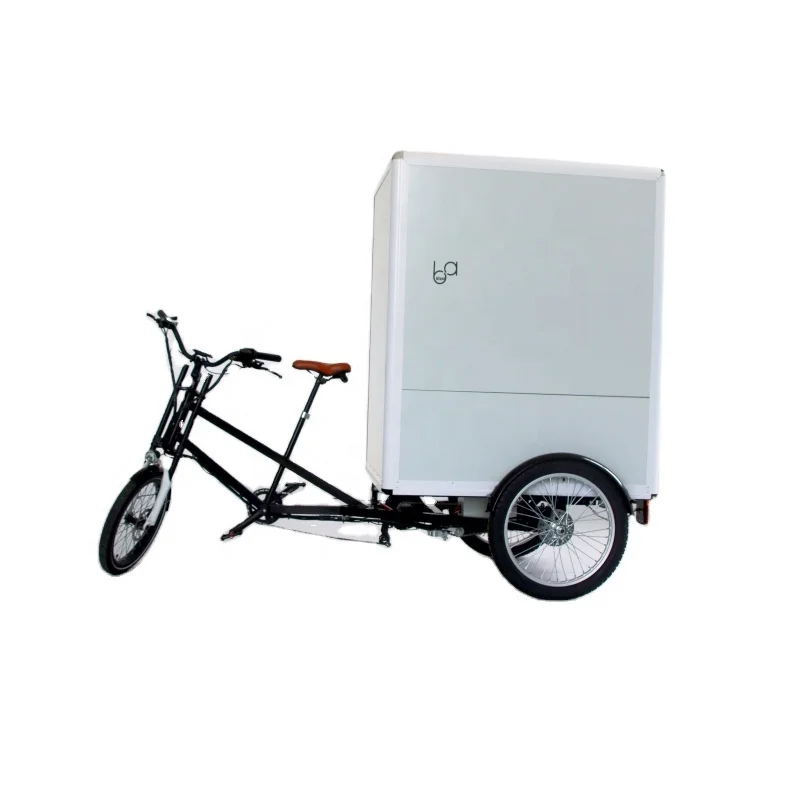 Heavy load cabin cargo Tricycle / closed 3 Wheel Motorcycle Heavy load Cargo Bike Electric bicycles