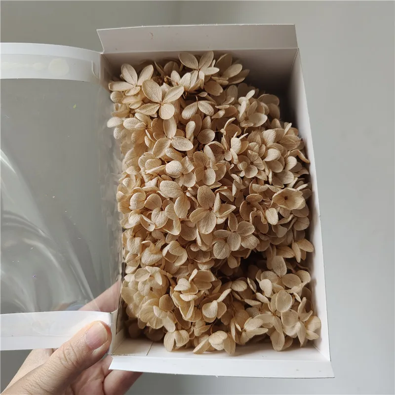 Dried Woody Hydrangea for Christmas Decorations DIY Flower Materials with Drop Glue Accessories Handicrafts