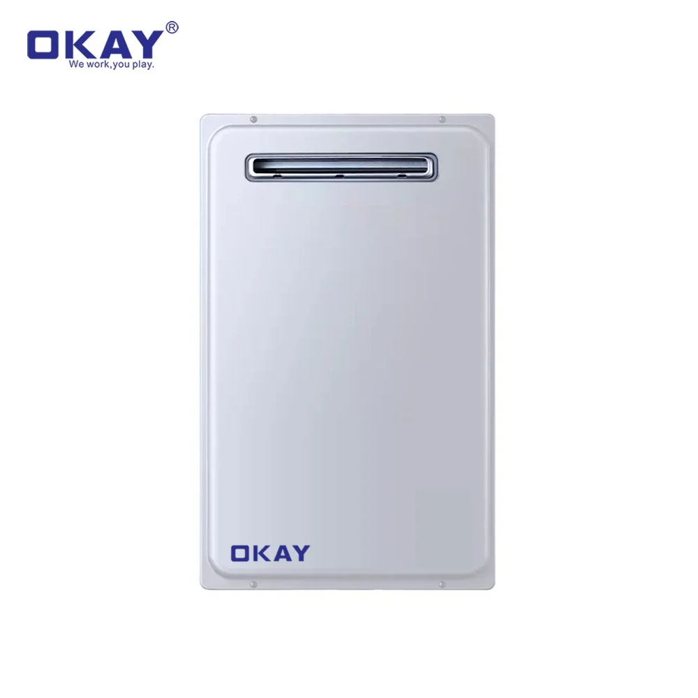 10lL 12L 14L 16L 18L 20L 22L 24L 26L 28L Natural constant digital Propane Outdoor Installation tankless gas Hot Water Heater