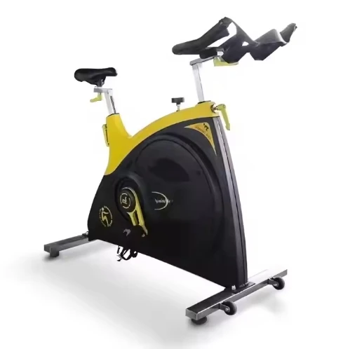 Professional Body Fit Gym Equipment Ride On Car Spinning Bikes Fitness Bike Fitness Exercise Bikes