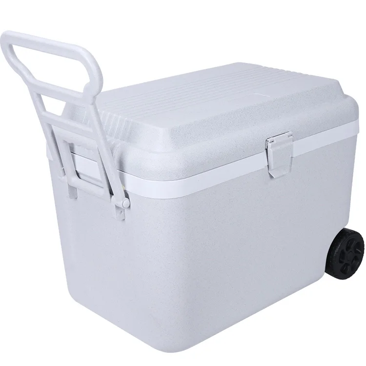 50L Outdoor Pattern Food Solar Color Feature   Waterproof  PP Refrigerators  Customized Logo Ice Chest Cooler Time