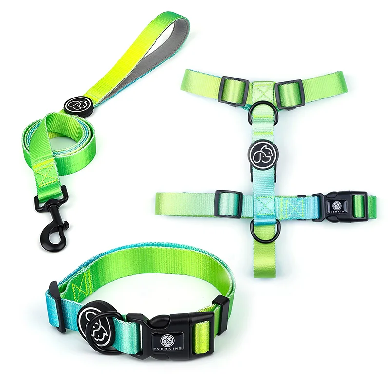 R gradient color high quality dog collar nylon leash and adjustable harness set bravecto for pets