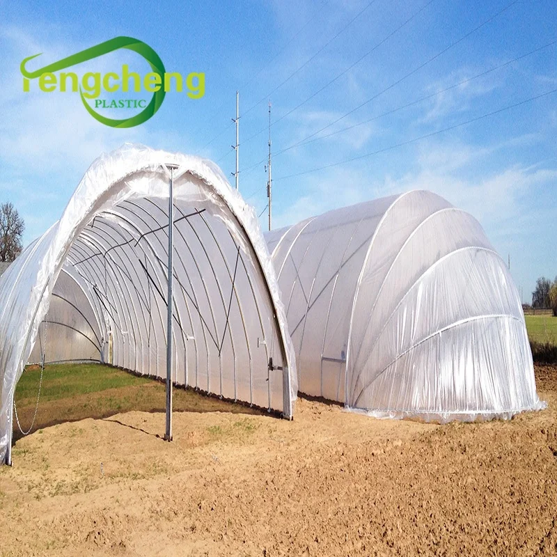 New Style Vegetable Agricultural UV Treated Plastic Film Greenhouse for Sale