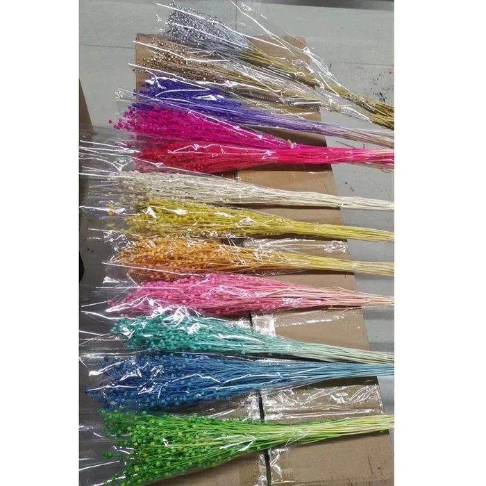 Amazona Yunnan Wholesale Dried Flowers Real Preserved Long Stem Gold Sliver Jequirity Bean Riches Beans As Decoration Flower