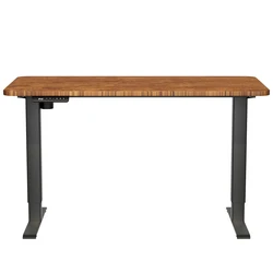 AUKI White Frame With Wooden Tabletop Office Desk Ergonomic 120*60 CM Electric Standing Desk Smart Electric Standing Desk