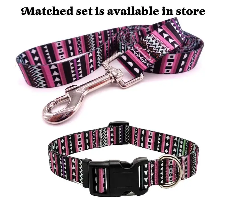 
New Product Unique Design Colors Nylon Dog Leash for Different Dog 