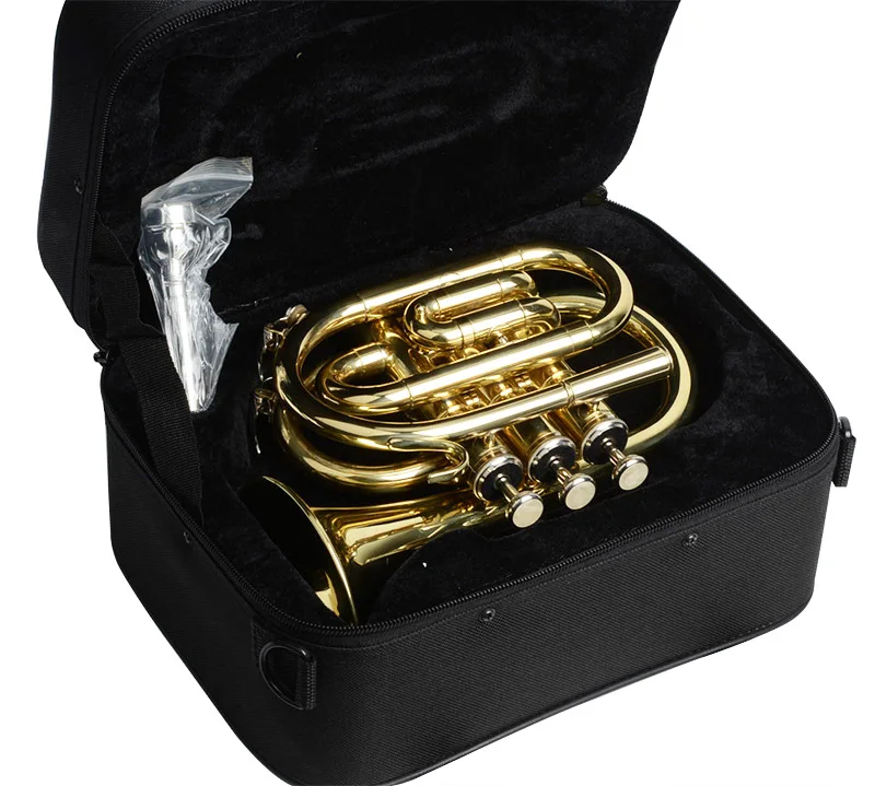 musical instrument brass instrument trumpet Brass lacquer gold Bb mini trumpet