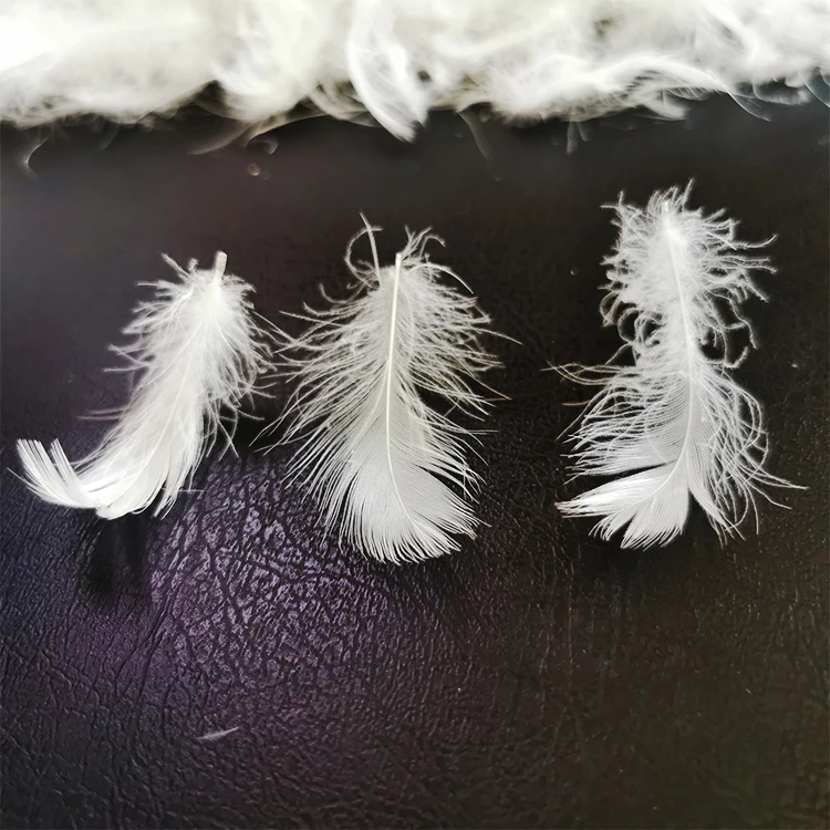High quality cheap wholesale price winter down 2-4cm washed white duck feather