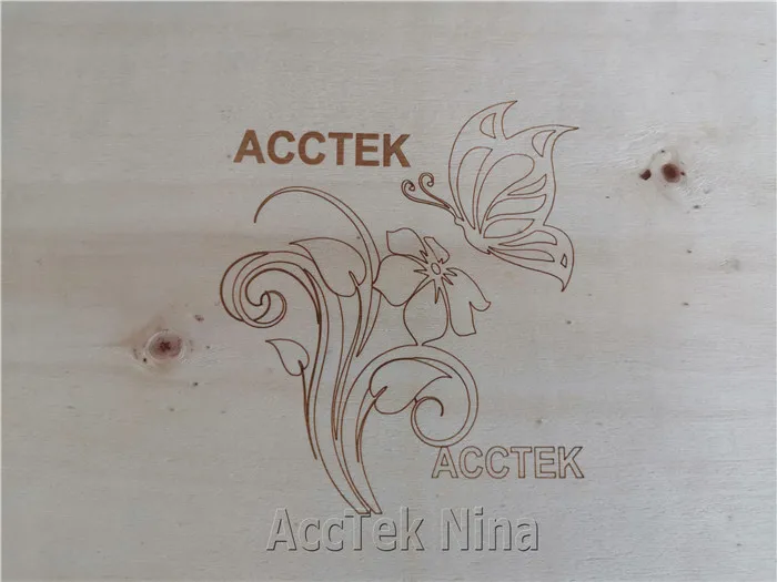 Europe Quality Deskptop Co2 Laser Marking Engraving Machine for Coconut Wood Leather