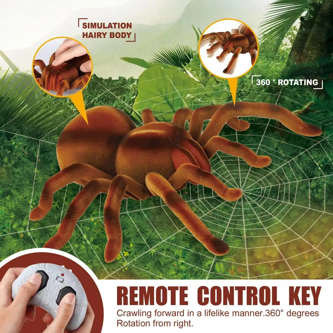 remote spider (11).jpg