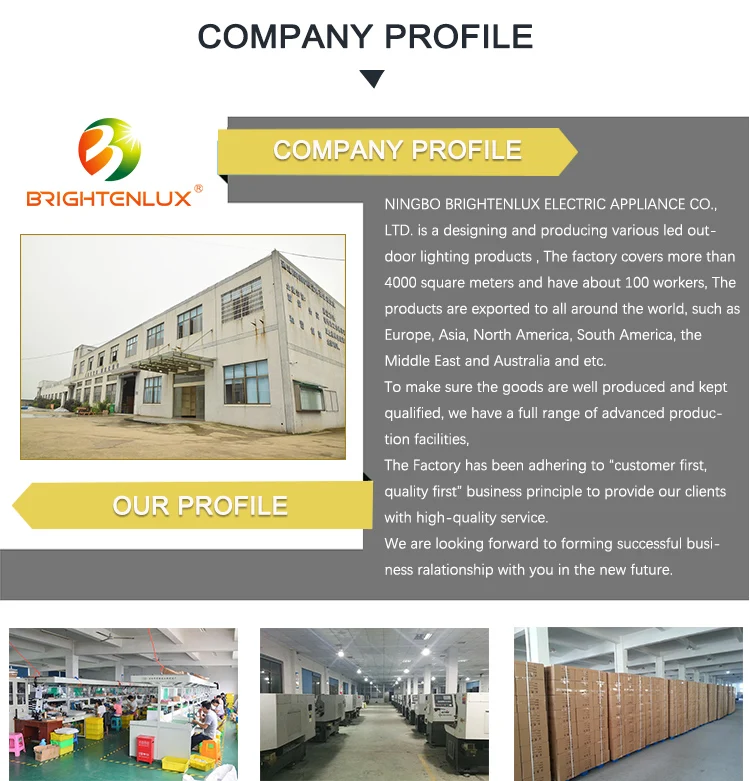 Hot Sale Smart Lawn Patio Stainless Steel 4 pack Solar Powered Disk Ground Light, Green Powered Outdoor 8 led Solar Garden Light