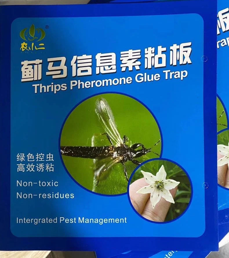 Thrips Pheromone Glue Board Paper material 21.5x38.5cm waterproof for different kinds of thrips