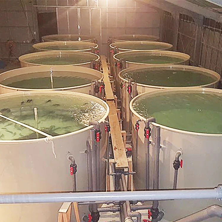 aquaculture equipment indoor outdoor industrial fish farm system fish farming ras recirculating aquaculture system