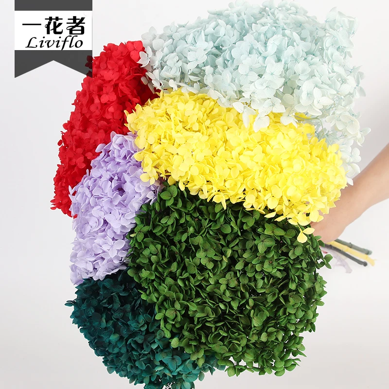 DIY Material Immortal Preserved Fresh Anna hydrangea Flower the Colorful Forever Lasting hydrangea With branches