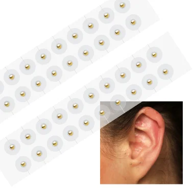 24K Gold And Silver Ear Seeds